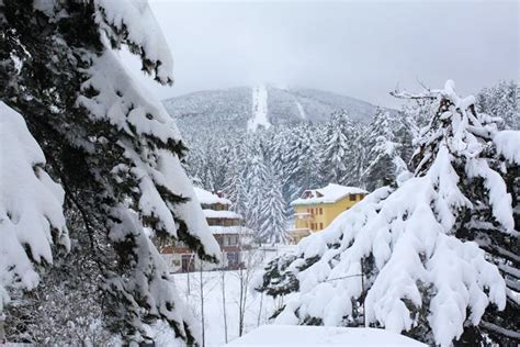 Freddo Artico Sulla Calabria In Sila La Coltre Bianca Ha Raggiunto Il