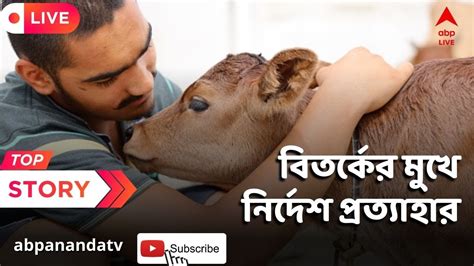 Cow Hug Day ভ্যালেন্টাইন্স ডে তে গরুকে আলিঙ্গনের বার্তা বিতর্কের মুখে