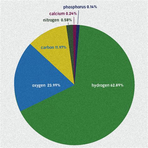 Los Elementos Del Cuerpo Davidson Institute Of Science Education Hi