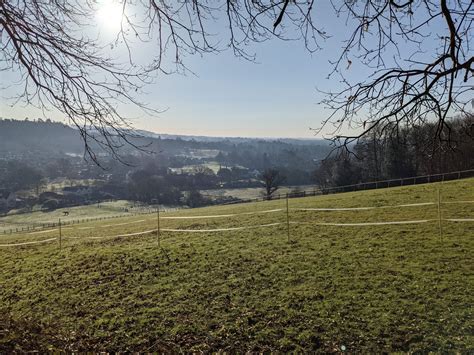 Grantley arms wonersh surrey serves a meal you must try 25