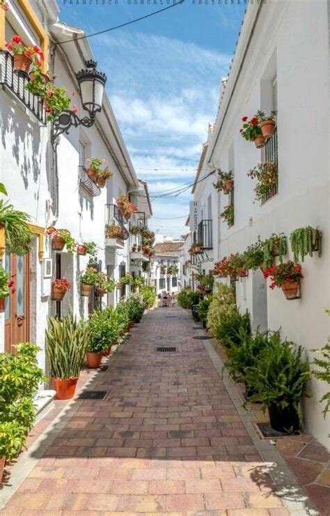 An Alley Way With Potted Plants And Hanging Planters On The Side Of