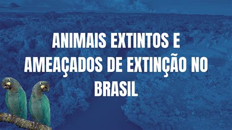 Animais Extintos No Brasil E Outros Que Est O Amea Ados De Extin O