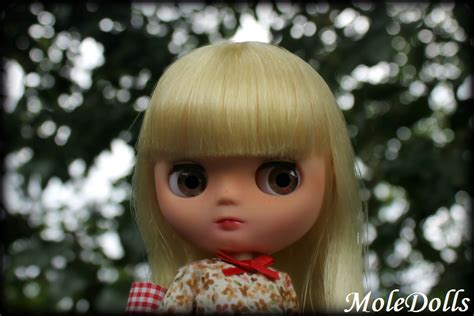 Moledolls Junio 2014