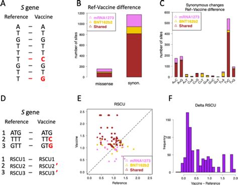 Sars Cov 2 疫苗 Mrna1273 和 Bnt162b2 的有效性和安全性可能因猖獗的 C To U Rna 编辑而复杂化 Journal Of Applied Genetics