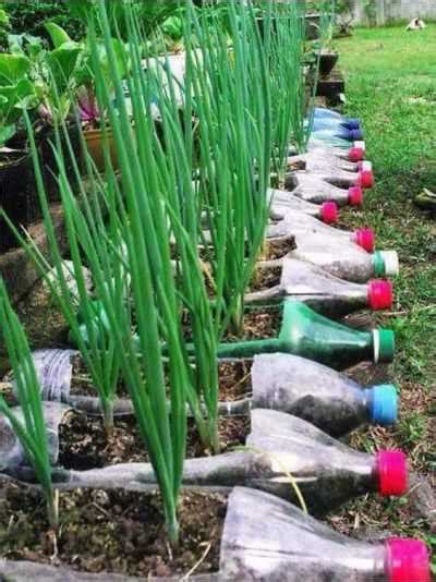 Kreasi Pot Bunga Dari Botol Bekas Yang Gampang Dibuat Teman Kreasi