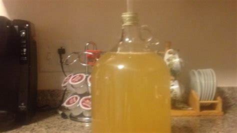 Homemade Orange Wine | FriendsEAT