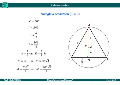 Poligoane Regulate Plus Educational