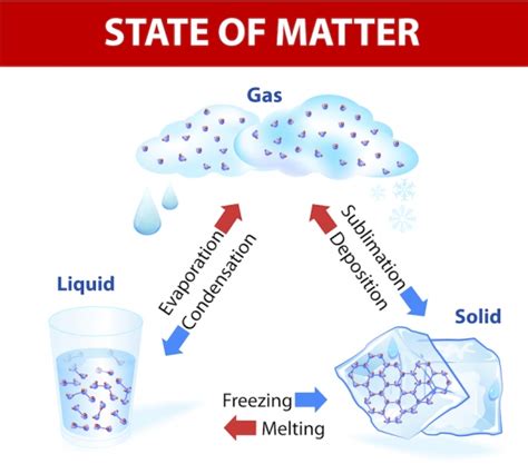 T S Changing States Ice Water Steam Worksheet Ver Pdf