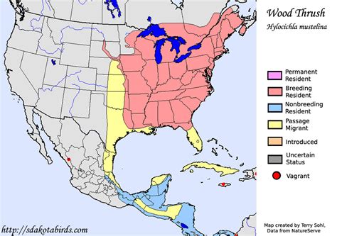 Wood Thrush - Species Range Map