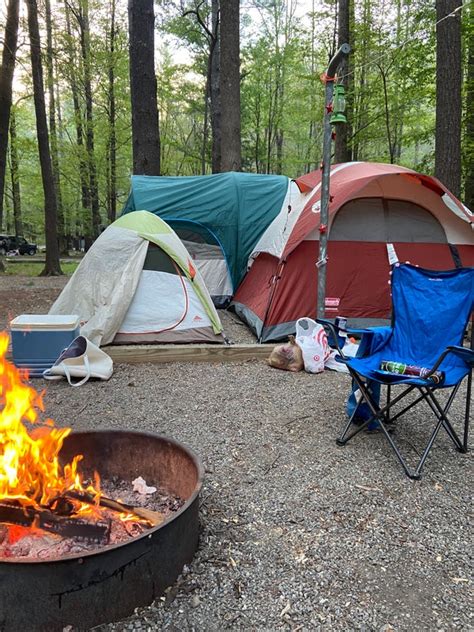 Cataloochee Campground The Dyrt