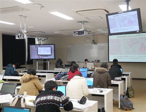 Message from the Dean｜Yamaguchi University, Joint Faculty of Veterinary