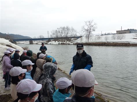 がんばって帰ってきてね～鮭の稚魚を放流しました～／真室川町公式ホームページ