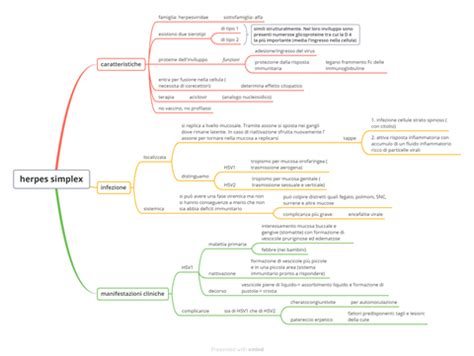 Mappe Di Microbiologia Batteri Virus Protozoi Funghi Med