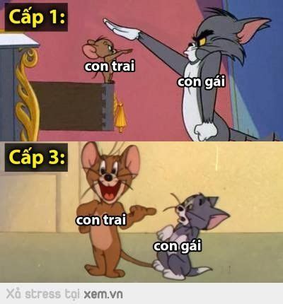 Ghim của you shut the fuck up trên vì quá sồu nên tôu ghim mấy cái ảnh này vào Hài hước Con trai