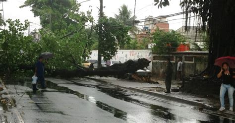 G Rvore Cai Sobre Rede El Trica E Moradores Ficam Sem Luz No Rio