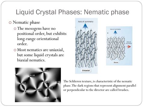 PPT Liquid Crystal Phases Of DNA And Implications For The Origin Of