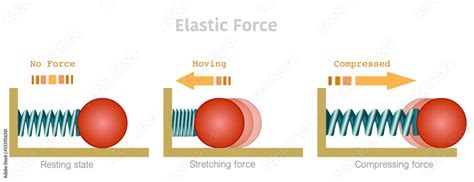 Elastic Force Pictures