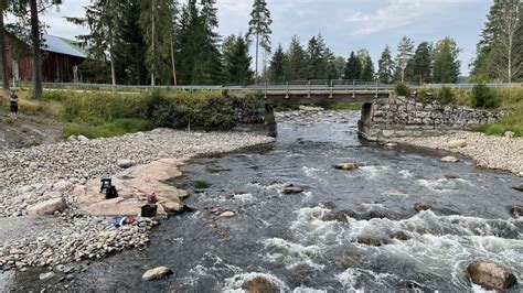 Padon Purku Riehaannutti Harvinaiset Lohet Kutemaan Tutkijat