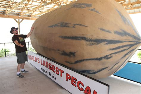 Worlds Largest Pecan Esteem Education Wiki Fandom