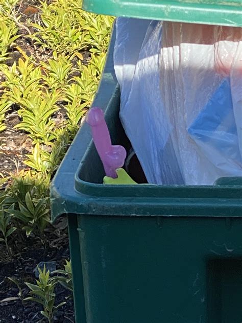 Found This In My Neighbors Trash Can Nothing Mild About It Rmildlypenis