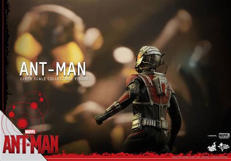 Hot Toys Announces Marvel S Ant Man ActionFigurePics