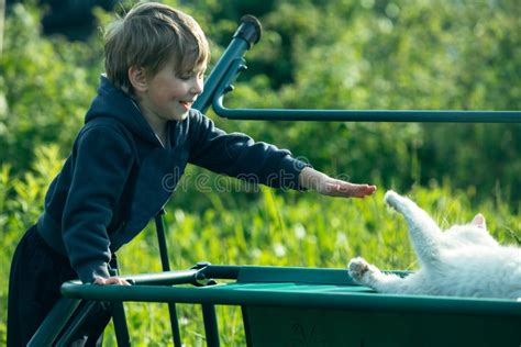 A Little Boy is Playing with Cat Outdoors. Stock Photo - Image of ...