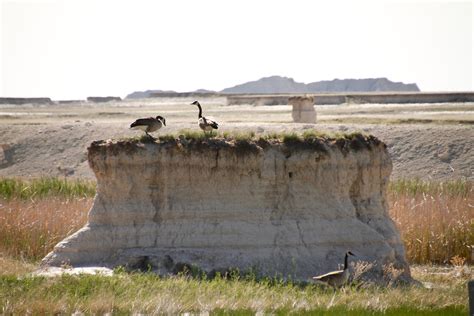 Trans South Dakota Trail Cheeseheads Invade The Dakotas