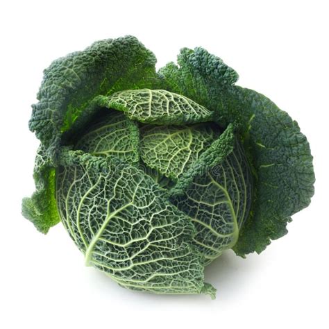 Savoy Cabbage stock image. Image of isolated, diet, greens - 159567135