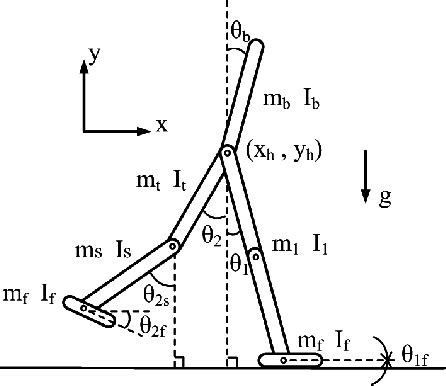 The Passivity Based Dynamic Bipedal Walking Model With Compliant