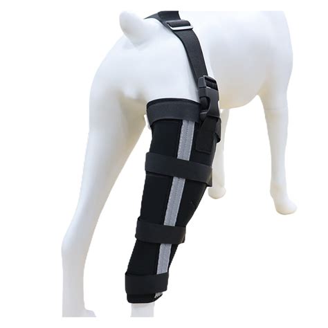 Best Leg Support For Dogs For Sale Lovepluspet