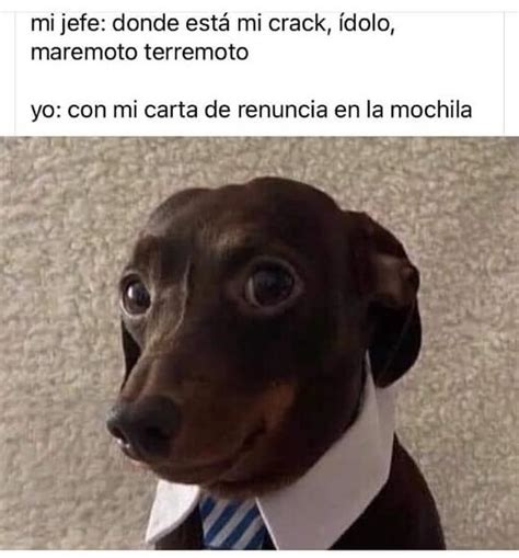 Mi Jefe Donde Est Mi Crack Dolo Maremoto Terremoto Yo Con Mi