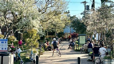 25+ parks in Richmond - RICtoday