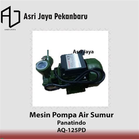 Jual Mesin Pompa Air Sumur PANATINDO DAP AQ 125 PD Watt Non Otomatis