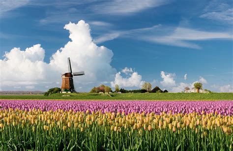 Spring Landscape Photograph By Jacobh Fine Art America