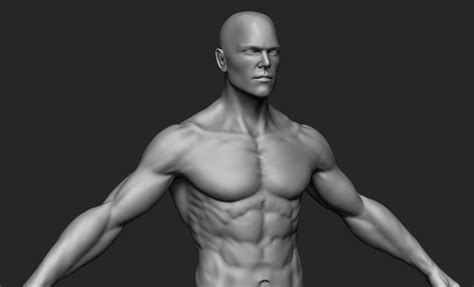 Blender 3d human models download - innerbda