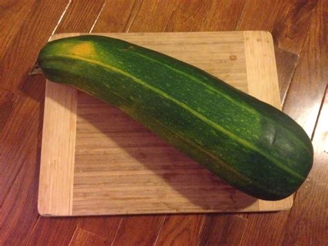 Little Country House Giant Zucchini Stores For A Long Time