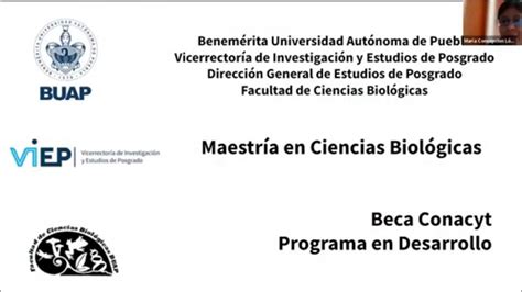 Maestr A En Ciencias Biol Gicas De La Buap Youtube