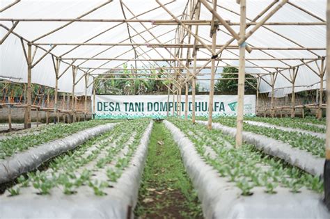 Wakaf Ekonomi Produktif Green House