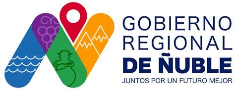 Normas Gr Ficas Y Protocolo Gobierno Regional De Uble