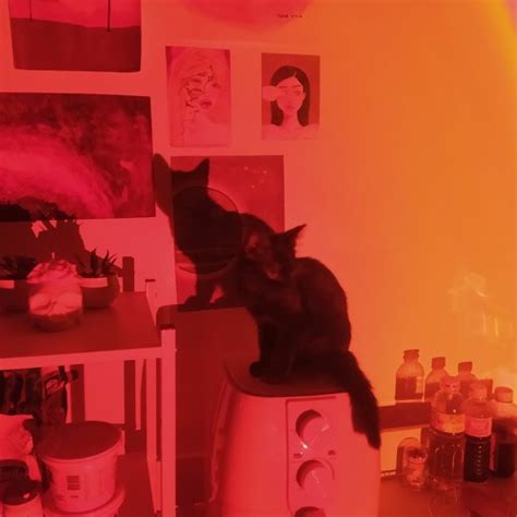 Stream Flammin Hot Cheetos Clairo Cover By Ohyousillypotato Listen Online For Free On