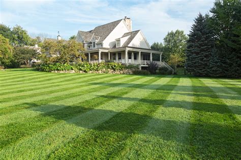 Lawn Stripe Designs