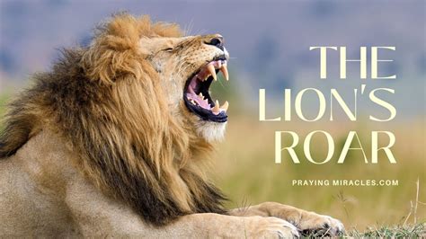 Stand Firm And Fear Not The Lions Roar Praying Miracles