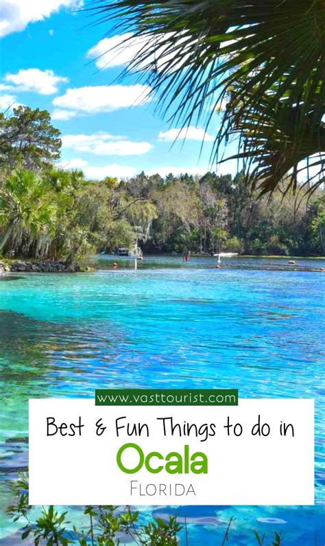 25 Best Fun Things To Do In Ocala Florida Artofit