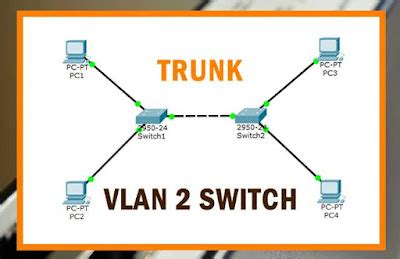 Cara Konfigurasi Vlan Di Cisco Packet Tracer Dengan Switch Madigan