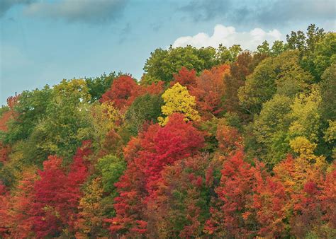 Michigan Fall Foliage 3 Photograph By David Dole Fine Art America