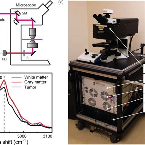 Apparatus Of Srs Microscope A Optical Layouts Of A Typical Srs