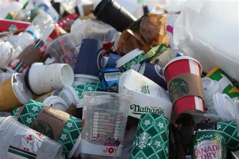 Reciclaje De Tazas De Caf Reducci N De Residuos De Forma Sostenible