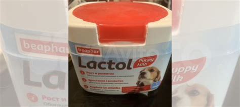 Lactol - заменитель сучьего молока купить в Санкт-Петербурге | Животные ...