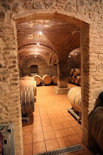 Celler Balaguer I Cabr Els Nostres Vins Se N Van Cap A La Xina