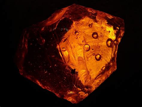 What is Amber and What’s So Special About It? - Artisan d'Asie